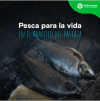 pesca