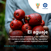 El aguaje