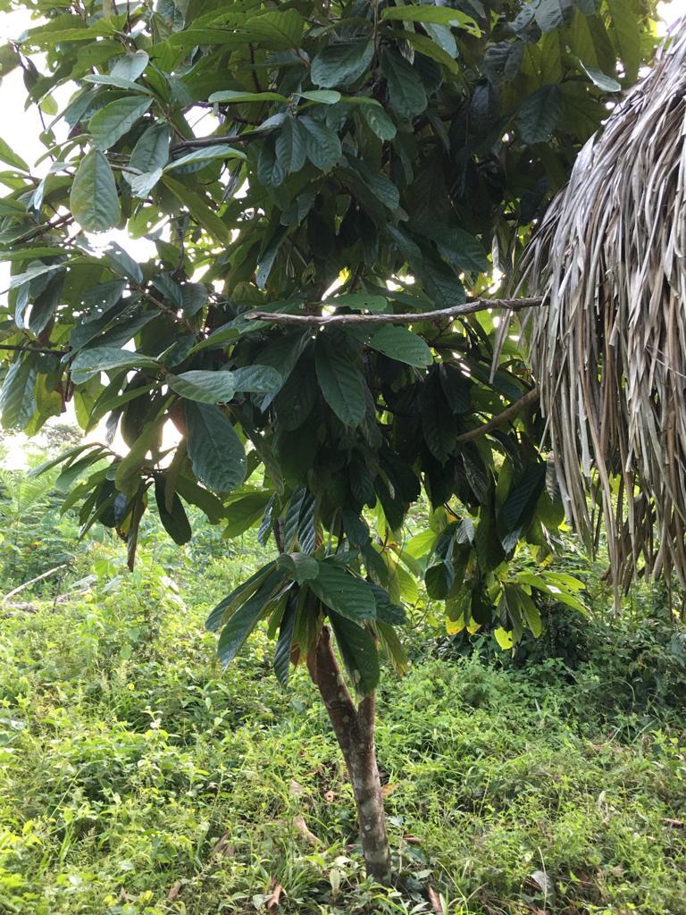 WhatsApp Image 2022-05-17 at 4.51.16 PM (1) (1)