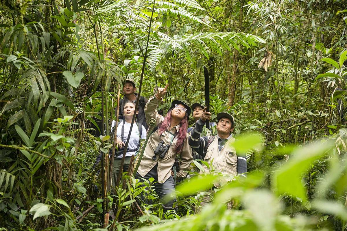 Fanny es miembro fundador de Yunkawasi y realiza investigaciones con el mono choro de cola amarilla, entre otros primates. Fotografía de Gerson Ferrer / Yunkawasi