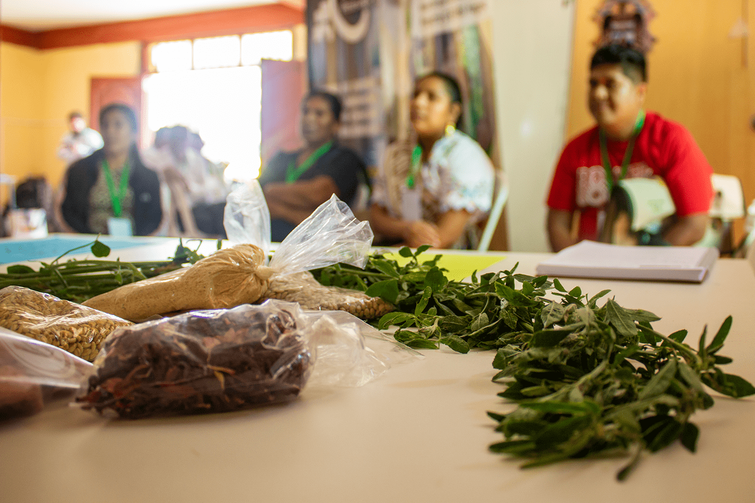 La comunidad campesina San Pedro de Mórrope reconoce la diferencia entre recursos biológicos y no biológicos en dinámica que forma parte del programa intercultural “Somos herencia que construye el futuro” del proyecto GEF ABS Nagoya.