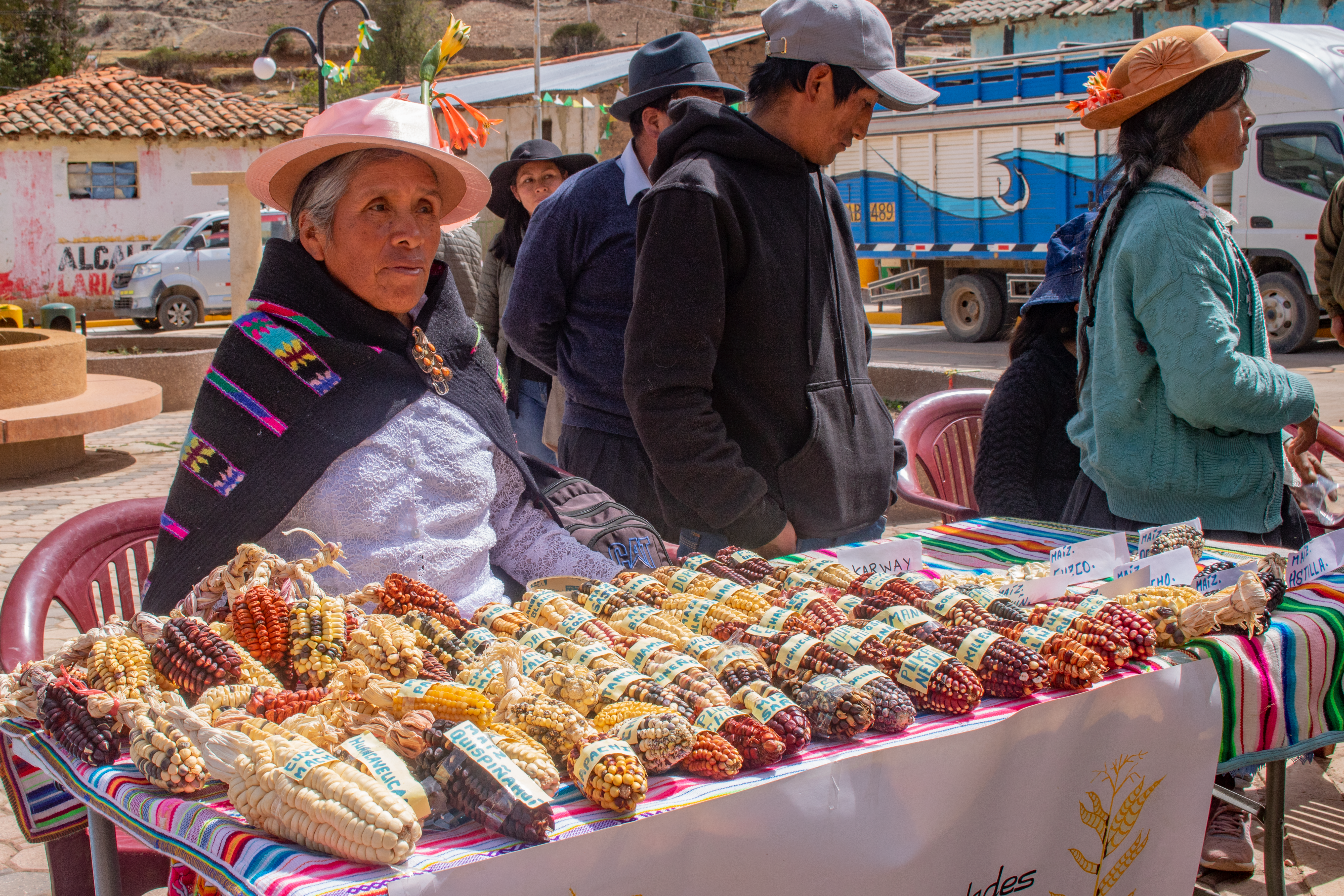 En la ceremonia, agricultores de las comunidades campesinas de Laria, Zunipampa, San José de Belén, Vista Alegre, Conaica, Occoro Viejo y Nuevo Occoro, presentaron las variedades de maíz, papas y tarwi que rescatan y conservan gracias a sus saberes ancestrales y los conocimientos adquiridos en las Escuelas de Campo de Agricultores (ECAs).