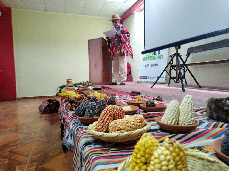 La Red de Jóvenes Agricultores y Comunicadores Rurales también estuvieron presentes, ellos y ellas son actores clave en la difusión de acciones en el distrito, así como de los retos que enfrentan ante los efectos del cambio climático en su localidad.
