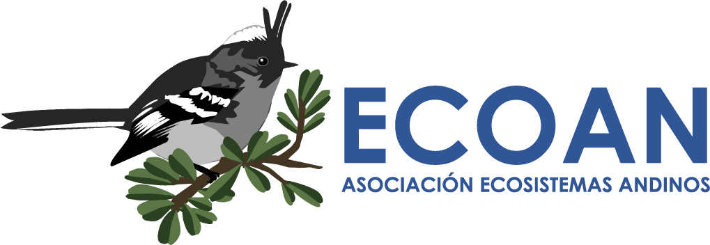 ecoan_
