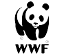 wwf_Mesa de trabajo 1