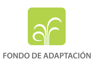 adaptationfundlogo-spanish-rgb-web (1)